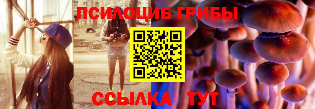 Галлюциногенные грибы Psilocybine cubensis Реж